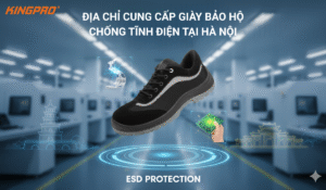 giày bảo hộ chống tĩnh điện (1)