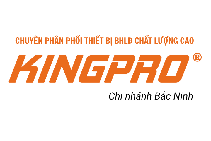 GIÀY BẢO HỘ GIÁ RẺ